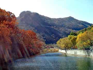 新澳天天开奖资料大全旅游团，一头奶牛多少钱